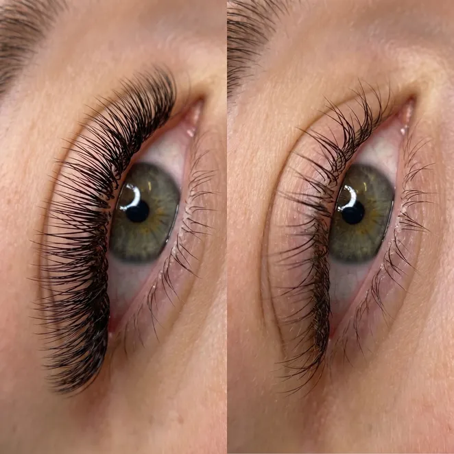 Visualizing the 2-week lash growth and shedding cycle.